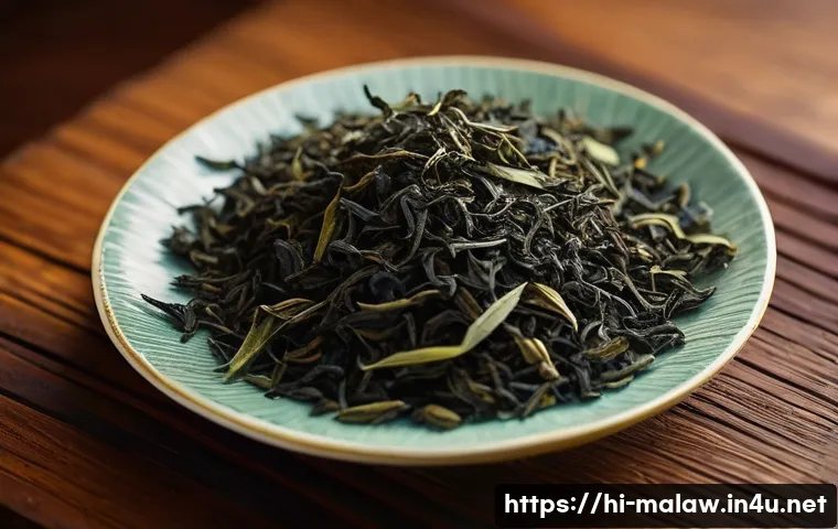 मलावी का हरा सोना: चाय उद्योग कैसे बदल रहा है देश की किस्मत? 4 말라위 차 Tea 산업 관련 이미지 2